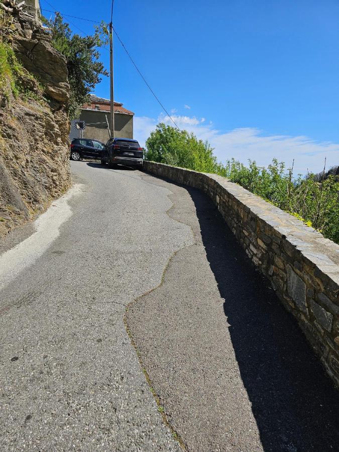 Palazzu Massoni, Magnifique Vue Sur La Mer Et La Montagne, Clim, Wifi, Parking Gratuit セルヴィオーヌ エクステリア 写真